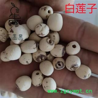 产地直销白莲子 湖南湖北空心磨皮白莲子 产地 湖南省图4