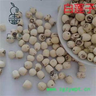 产地直销白莲子 湖南湖北空心磨皮白莲子 产地 湖南省图2