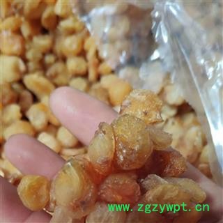 龙眼肉 顶级圆肉 产地 广西壮族自治区图3