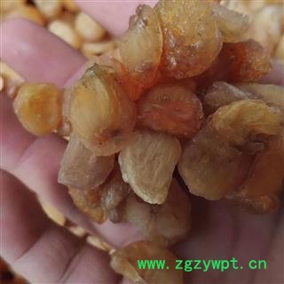 龙眼肉 顶级圆肉 产地 广西壮族自治区