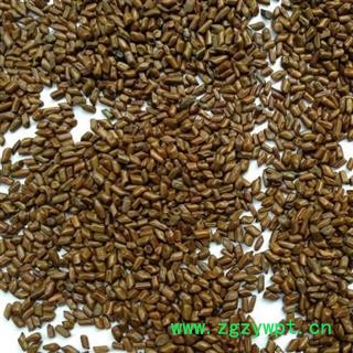 决明子 统 产地 广西壮族自治区贵港市平南县图3