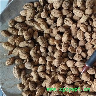 砂仁 进口壳砂仁，统货 ，产地 海外图2