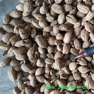 砂仁 进口壳砂仁，统货 ，产地 海外图3