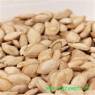 南瓜子 统 产地 福建省莆田市涵江区图2