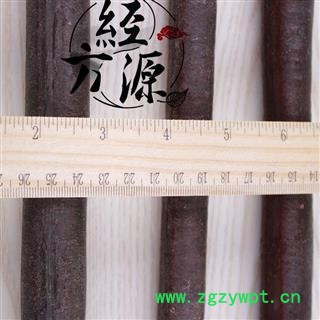 婆罗门皂荚 腊肠豆 香肠豆 清泻山扁豆图2