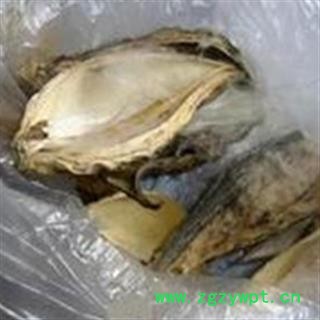 正品 麻雀棺材 哈喇瓢 天浆壳 婆婆针落线包 优质 促销图3