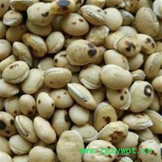 白扁豆 统 产地 广西壮族自治区图2