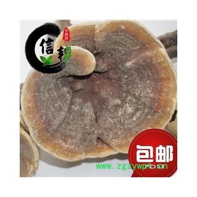 灵芝江西金边灵芝专营贵细类冷被偏门产地直销合作共赢专注品质，诚信信邦！