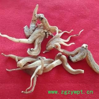 【精选个子】中药材秦岭野生手掌参佛手参日晒无硫250g图3