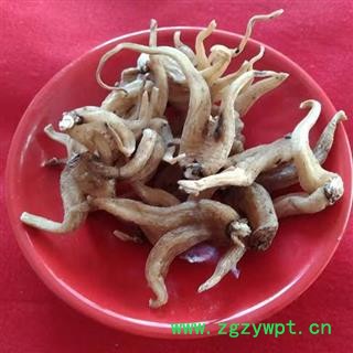 【精选个子】中药材秦岭野生手掌参佛手参日晒无硫250g图2