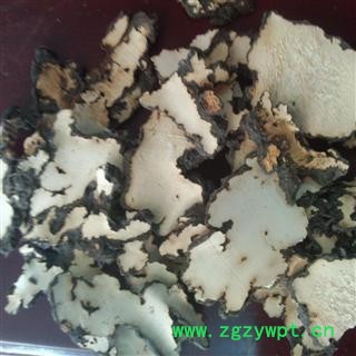 猪苓  猪屎苓水洗好统片  产地 山西省图2