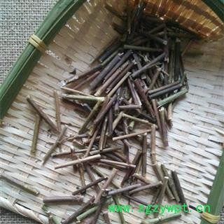 秦岭柴胡杆 北柴胡竹叶柴胡杆柴胡苗图3