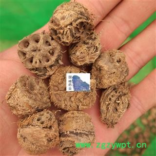 藕节 藕节巴选货 全干 无虫蛀 国峰药业 重在品质 产地 山东省图2