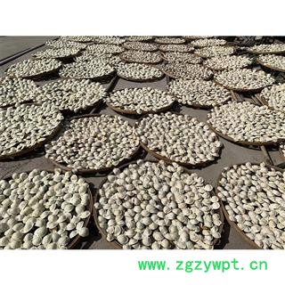 正宗新会陈皮 5年老陈皮大红原产地图3