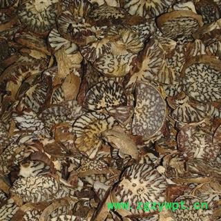 槟榔 片统 产地 广西壮族自治区南宁市市辖区图2