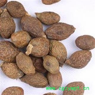 灵吉药业 胖大海 药厂投料用 包含量图4