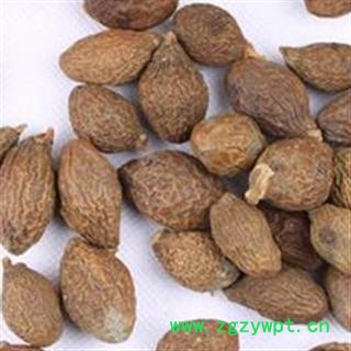 灵吉药业 胖大海 药厂投料用 包含量图2