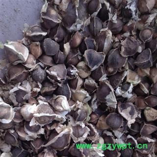 灵吉药业  辣木子 辣木籽  进口  优质 正品图2