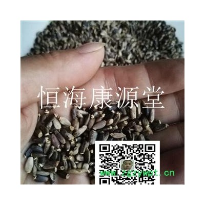 恒海康源堂水飞蓟 水飞雉、奶蓟、老鼠簕