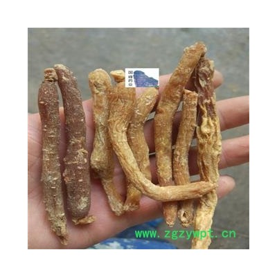 红参 红参小抄 红参有糖80支以上 国峰药业 重在品质 产地 吉林省