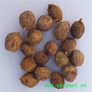 批发砂仁批发阳春砂仁批发中药材批发壳砂仁晒干统货 产地 广东省阳江市阳春市图2