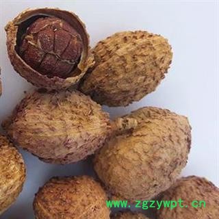 批发砂仁批发阳春砂仁批发中药材批发壳砂仁晒干统货 产地 广东省阳江市阳春市图3