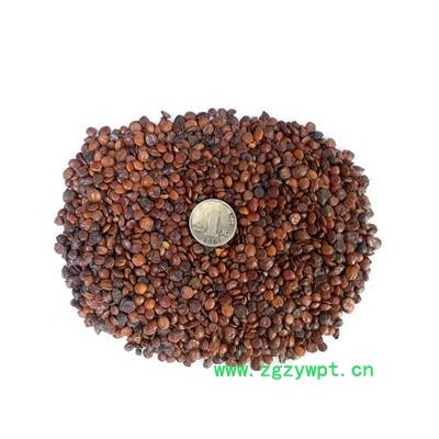 酸枣仁进口炒理枣仁产地云南