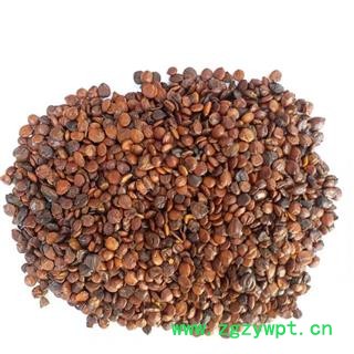 酸枣仁进口炒理枣仁产地云南图3