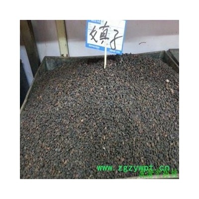 女贞子 鸡腰形 产地 重庆市县