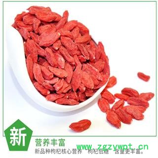 【满包邮】宁夏枸杞180粒/50克 中宁正品，本色健康 优选品质 产地直供图2