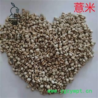 产地直销薏米 国产小粒薏苡仁 无硫磺 足干 无虫蛀 产地 贵州省图3