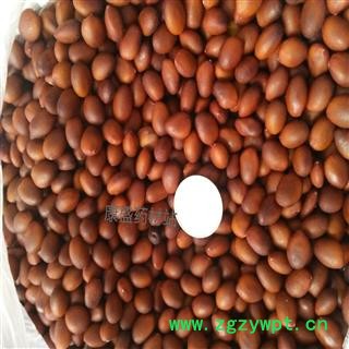 皂角籽   优质  皂角子 选货 产地 山东省滨州市惠民县图4