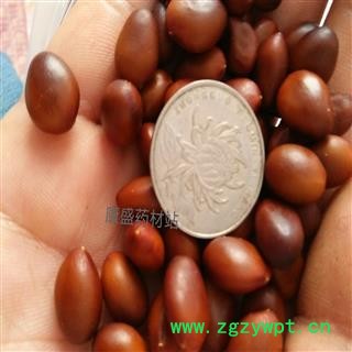 皂角籽   优质  皂角子 选货 产地 山东省滨州市惠民县图2