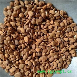 苦杏仁 苦杏仁统货 产地 河南省图3