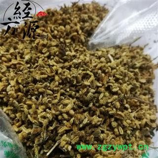 鹤虱T 窃衣子 南鹤虱 破子衣图3