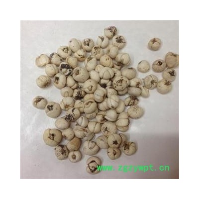 川贝母 好统货  质量保证  假一赔十 产地 四川省