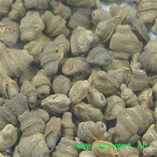 正品 王瓜子 赤雹子，马雹儿子 优质  促销图2