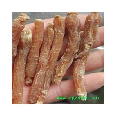 红参 万信药业！！小个 红参低糖80支以上 产地 吉林省