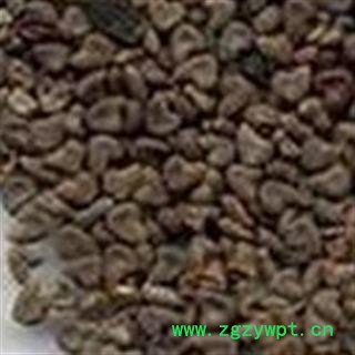 中药材 苘麻子 正品图2