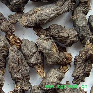 京辉药业 天葵子 野生 紫背天葵子 千年老鼠屎 正品 促销图2