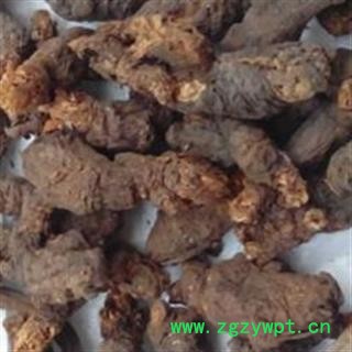 京辉药业 天葵子 野生 紫背天葵子 千年老鼠屎 正品 促销图3