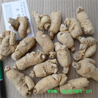 西洋参 西洋参长支20-25g 单支平均22克 假一赔十 产地 吉林省图2