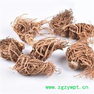 秦岭特产头顶一颗珠 延龄草 佛手七 山民自刨 日晒无硫500g图3