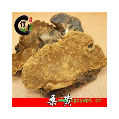 桑黄正品西藏野生桑黄桑树上的才叫桑黄1公斤大概7-9个，专注品质,诚信信邦!