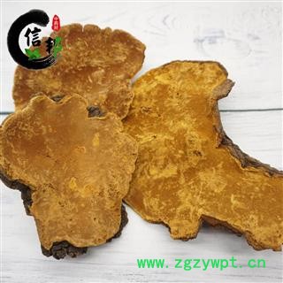 桑黄正品西藏野生桑黄桑树上的才叫桑黄1公斤大概7-9个，专注品质,诚信信邦!图2