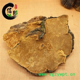 桑黄正品西藏野生桑黄桑树上的才叫桑黄1公斤大概7-9个，专注品质,诚信信邦!图3