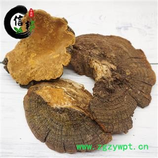 桑黄正品西藏野生桑黄桑树上的才叫桑黄1公斤大概7-9个，专注品质,诚信信邦!图4