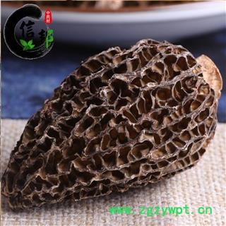 羊肚菌正宗西藏野生羊肚菌中个未去梗足干货专营贵细类冷被偏门产地直销合作共赢专注品质，诚信信邦！图2