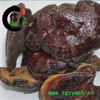 赤灵芝江西野生赤灵芝正宗野生专营贵细类冷被偏门专注品质，诚信信邦！图2