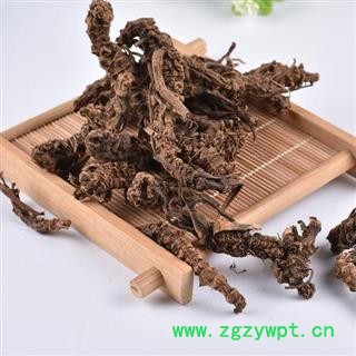 缬草根 秦岭野优质蜘蛛香 马蹄香 500g图3